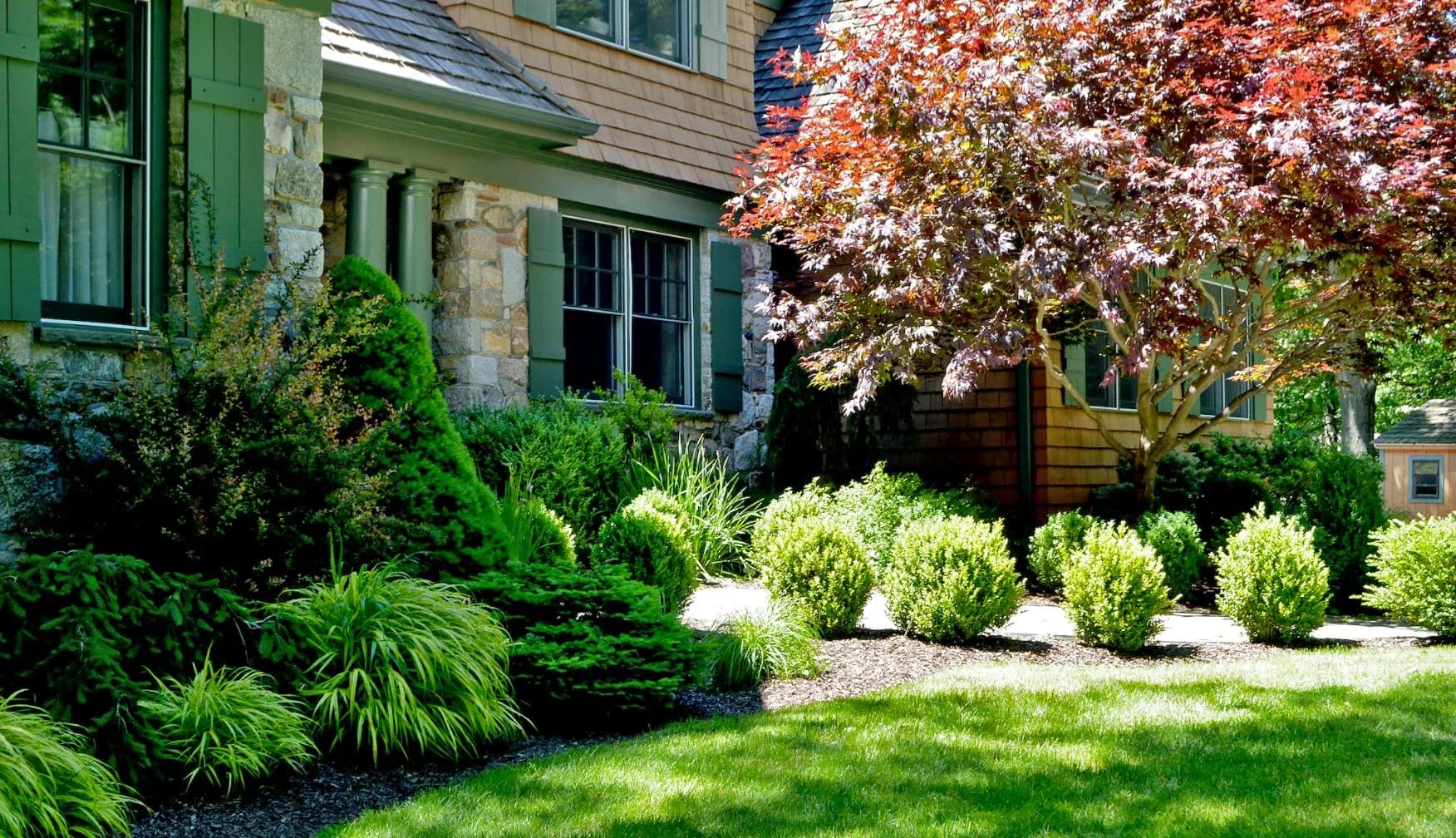 Tree & Shrub Planting Services in Birmingham, AL