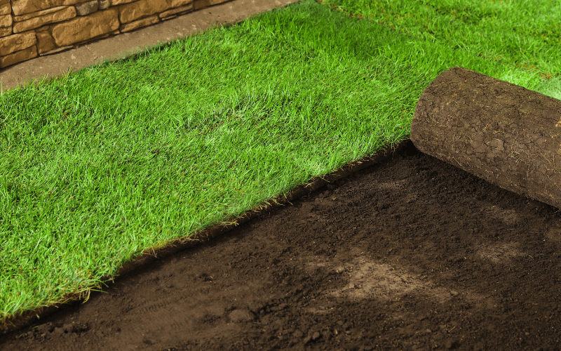 Sod Installation in Mountain Brook project 1