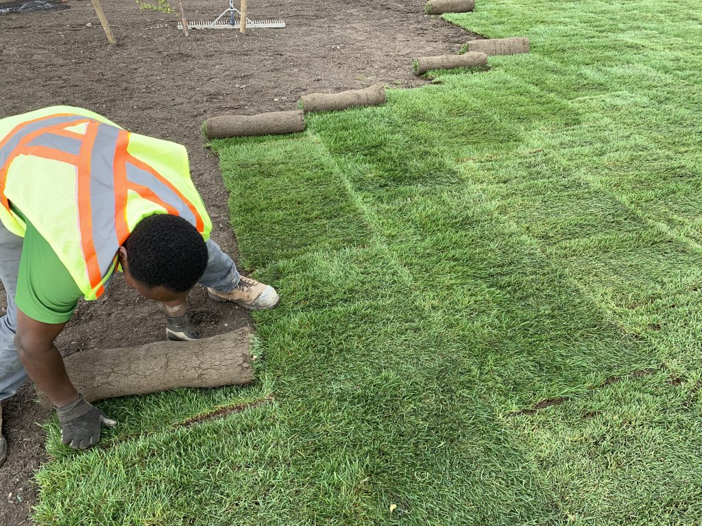 Sod Installation in Mountain Brook project 2