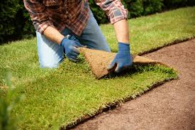 Sod Installation in Mountain Brook project 4