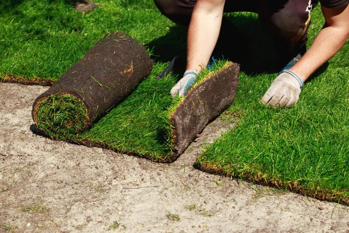 Sod Installation in Mountain Brook project 5