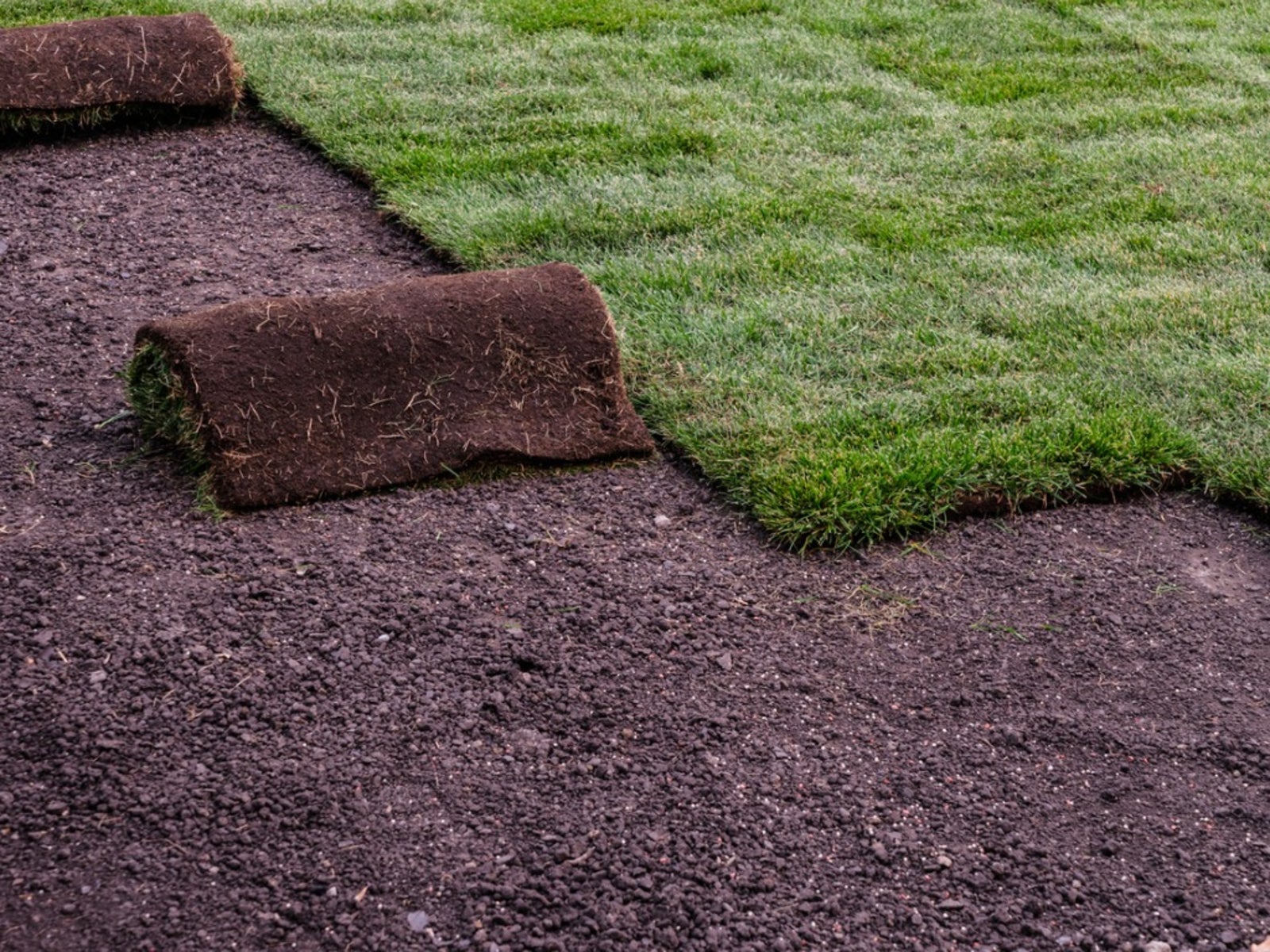 Sod Installation in Mountain Brook project 6